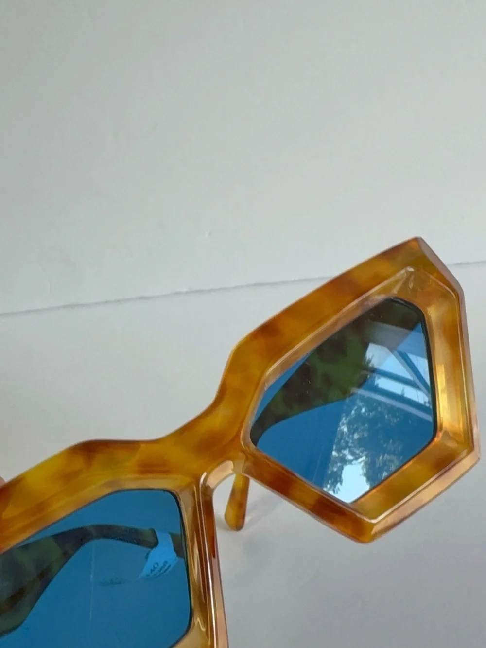 NWT Free People Vanessa Bubble Cateye Sunglasses